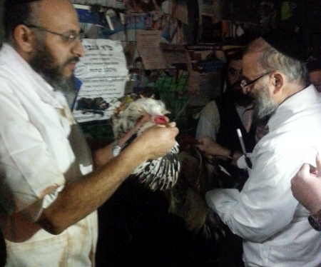 שחיטת עופות